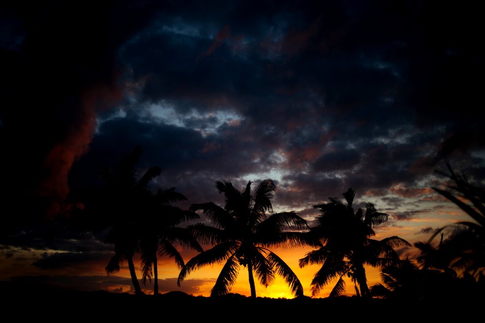 Scotl, Cay, The bahamas