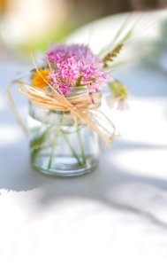 purple petaled flower with vase selective focus photography photo