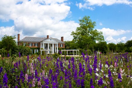 Field estate mansion