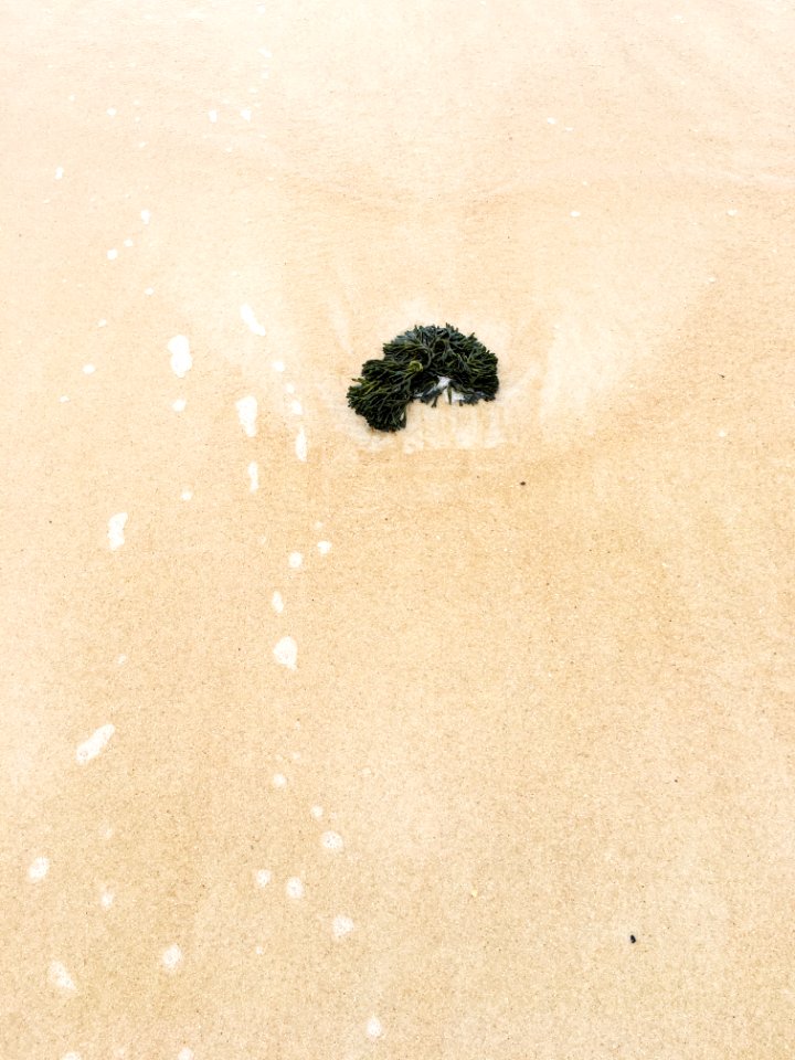 Melbourne, Australia, Beach