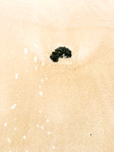 Melbourne, Australia, Beach