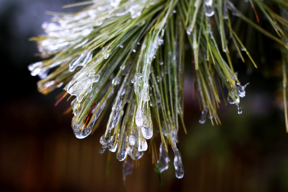 St. louis, United states, Rain