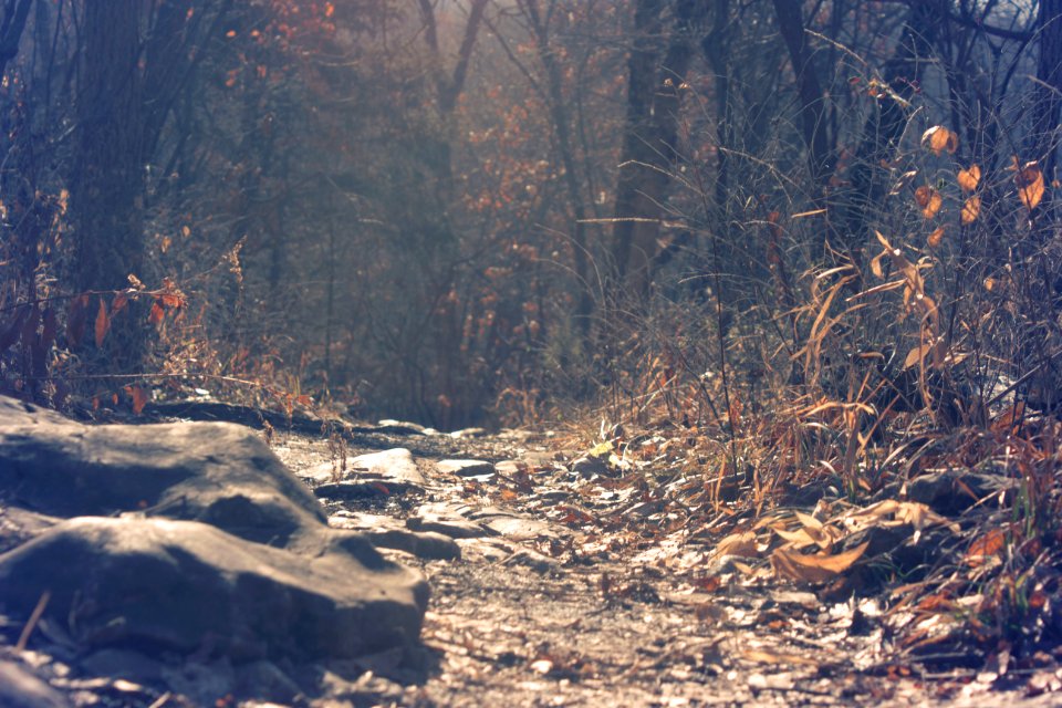 Shawnee mission park paved shared use trails, Shawnee, United states
