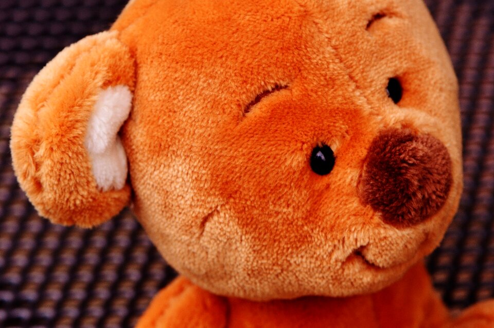 Stuffed animal teddy bear brown bear