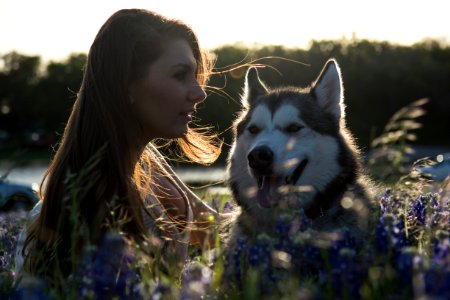 Forest, Sunset, Best friend photo