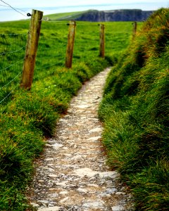 Cliffs of moher, Irel, Field