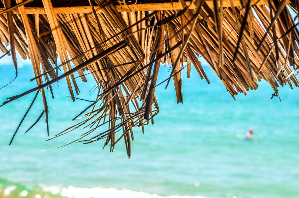 brown coconut hut near sea during daytime