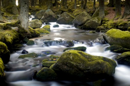Umava national park, Czechia, Rock