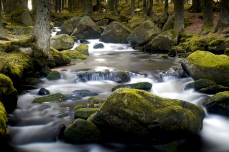 Umava national park, Czechia, Rock photo