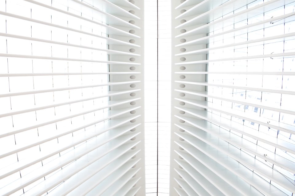 White ribs in the ceiling of the WTC transit hub