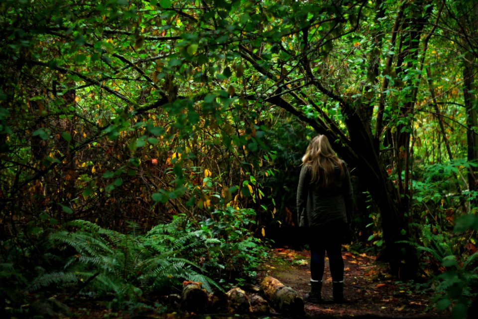 woman walking in the middle of forest photo