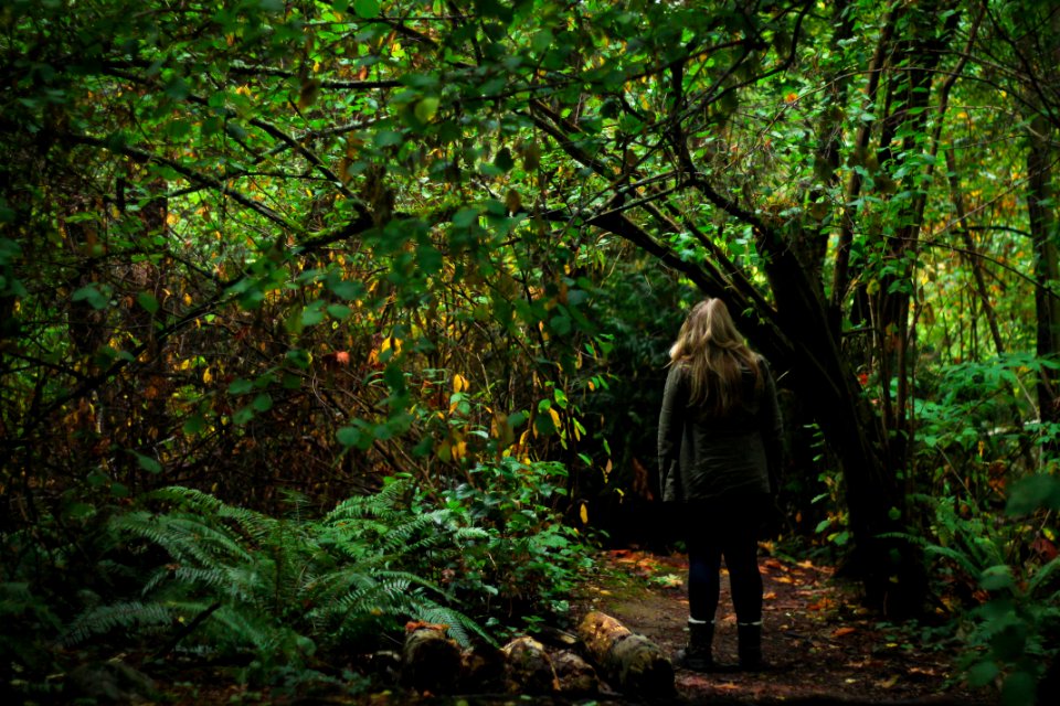 woman walking in the middle of forest