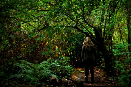 woman walking in the middle of forest