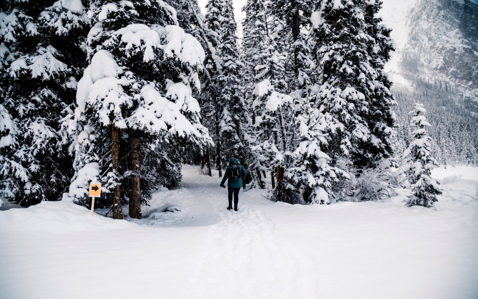 Canada, Lake louise, Lakelouise