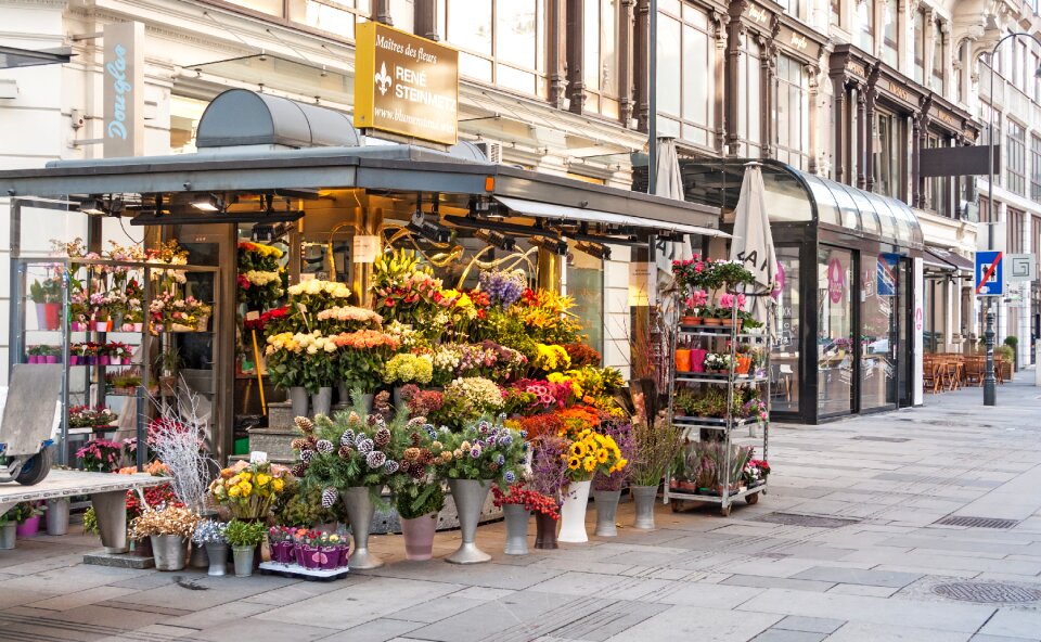 Vienna wien city