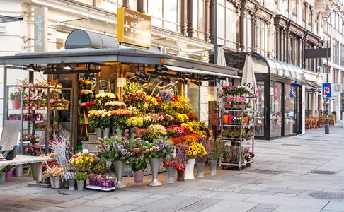 Vienna wien city
