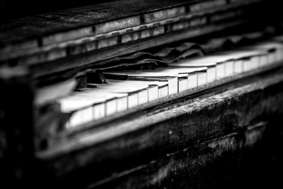 Keyboard, Instrument, Derelict