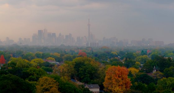 Toronto, Canada, Foggy