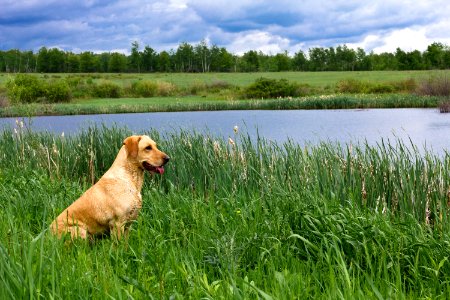 Lake elmo, United states