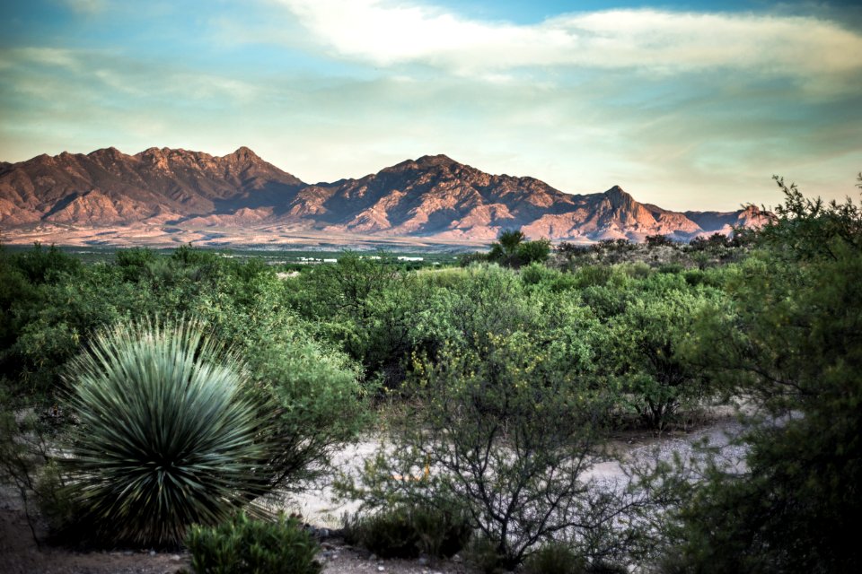 Green valley, United states