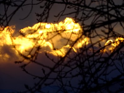 Draper, United states, Branches