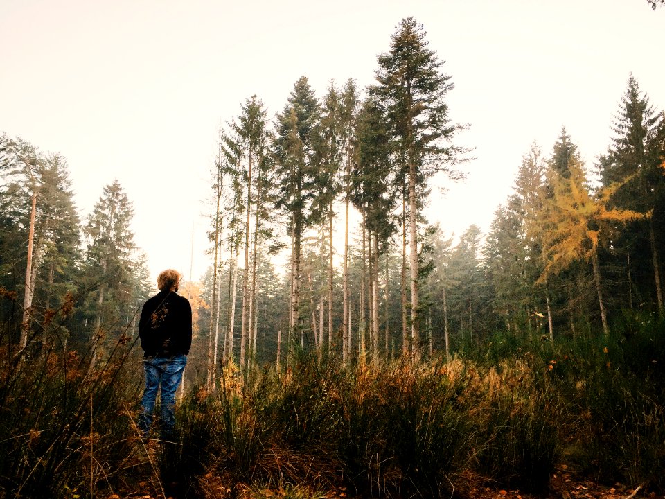 person standing on tall grass during daytime