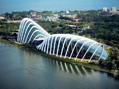 Singapore, Plant, Water