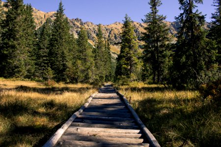 Slovakia, Tich  dolina, Vysok  tatry
