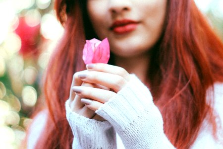 woman holding pink rose photo