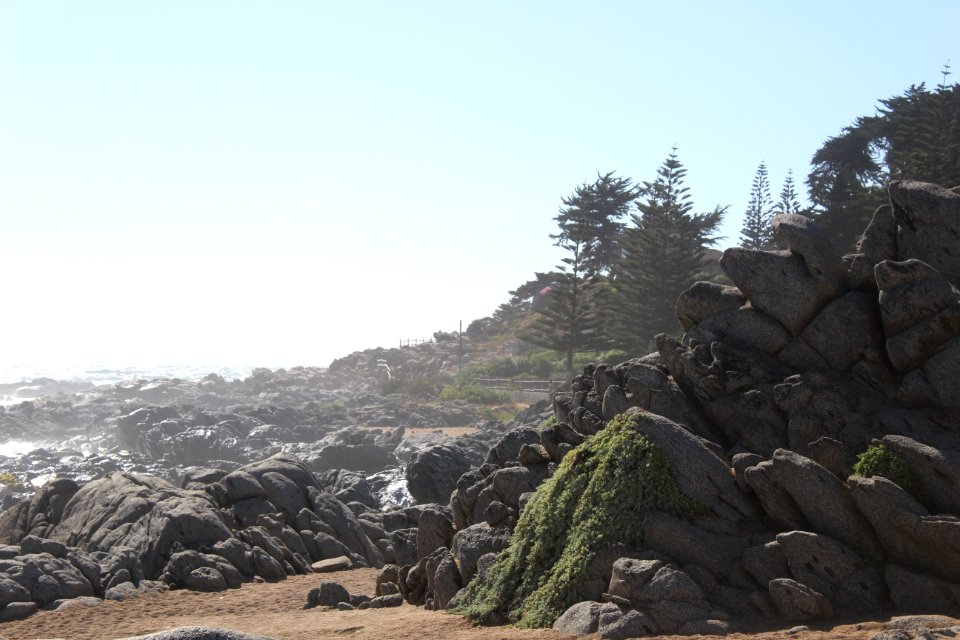 Isla negra, Chile, Beach