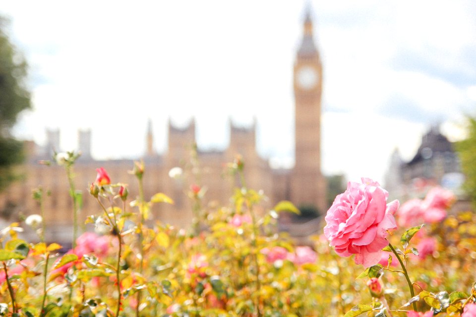 Big ben, London, United kingdom