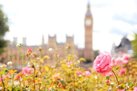 Big ben, London, United kingdom photo