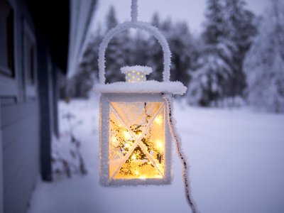 white pendant lamp hanging on ceiling outside of snow covered forest
