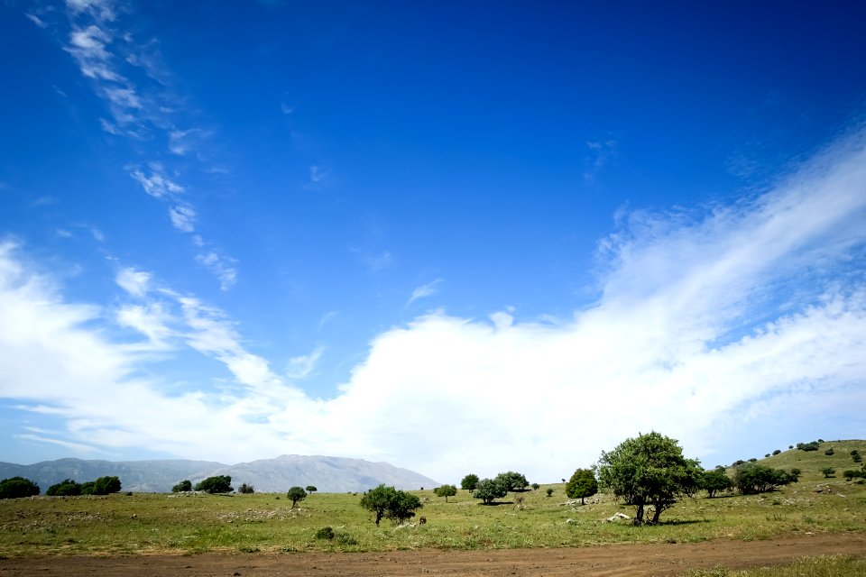 green trees near mountain under blue sky at daytime