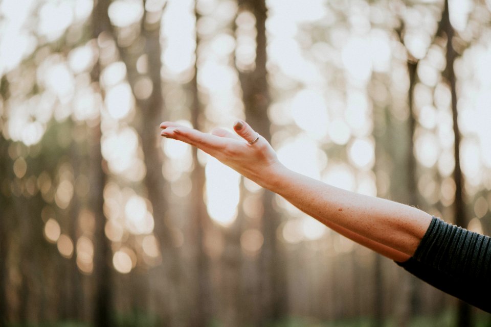tilt shift lens photography of person lifting hand