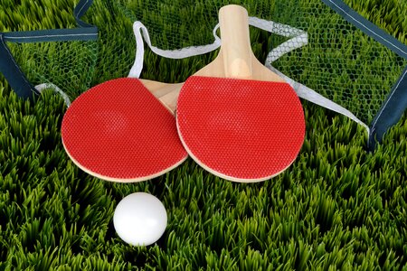 Table tennis bat sport play photo