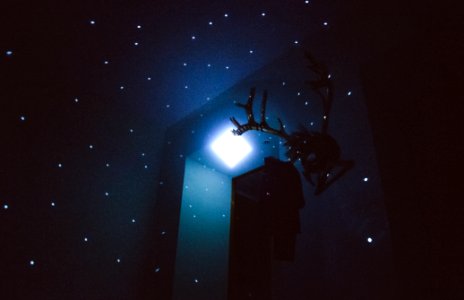 untitled