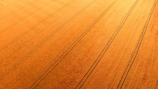 closeup photo of brown textile photo