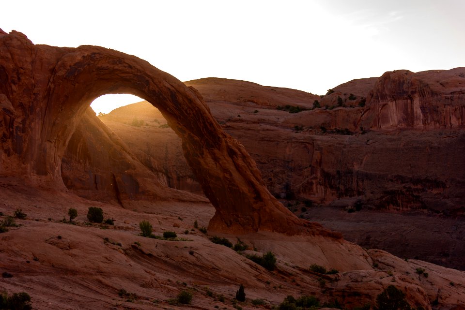 elephant trunk rock formation photo