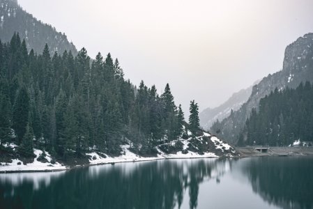 Tibble fork, United states photo