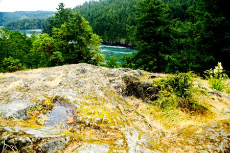 Deception pass state park, Oak harbor, United states photo