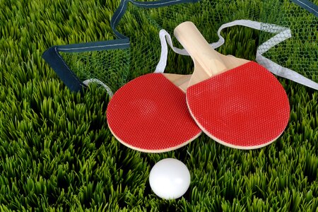 Table tennis bat sport play photo