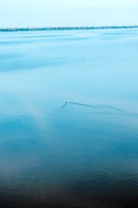 Fond du lac, United states, Wisconsin
