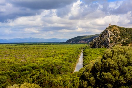 Italy, Parco regionale della maremma, Alberese