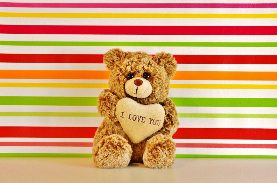 Cute stuffed animal valentine's day