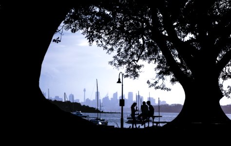 silhouette of people sitting on bench near body of water during daytime photo