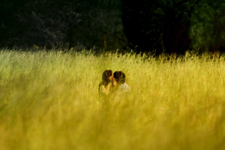 man and woman kissing in the middle of a grass field photo