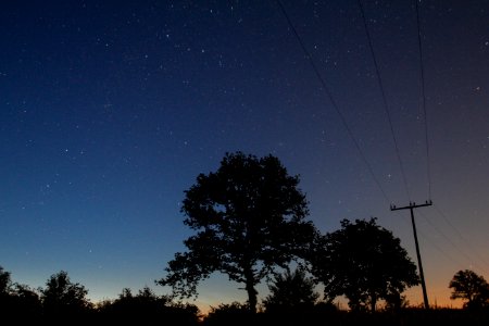 Horizon, Light, Night