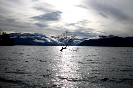 Wanaka, New zeal, Snowcap