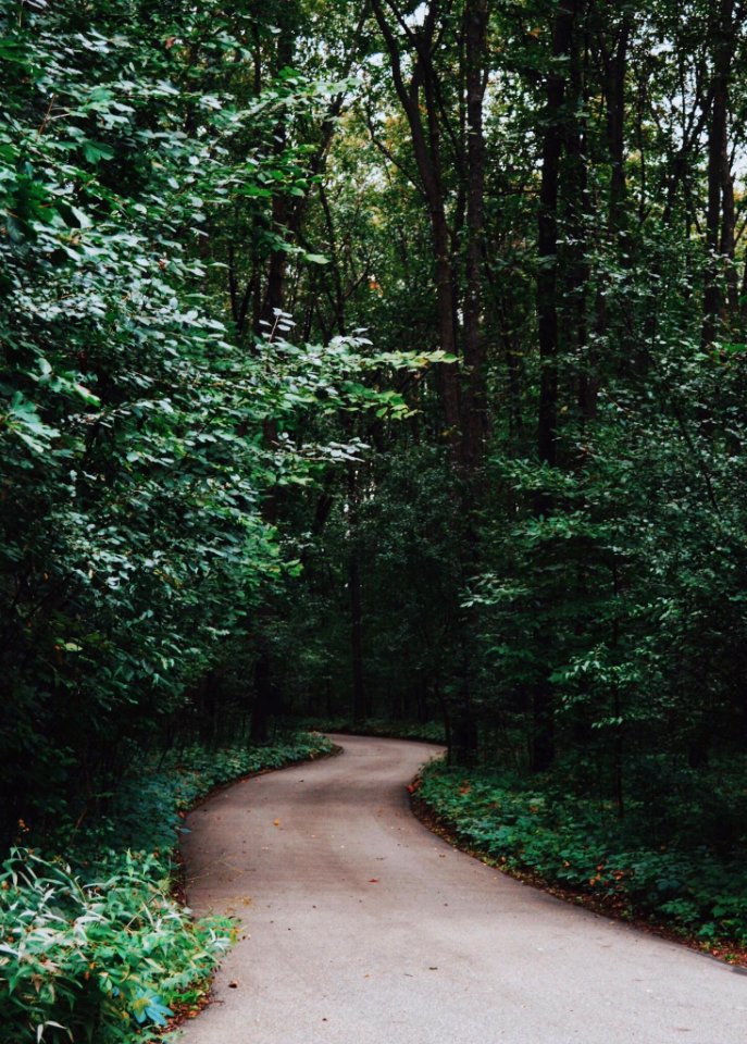 Explore, Summer, Green